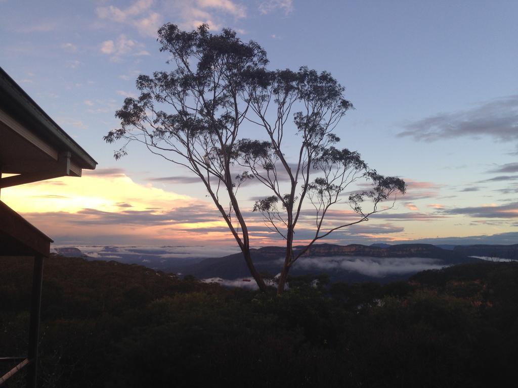 Valley Of The Waters B&B Wentworth Falls Ngoại thất bức ảnh