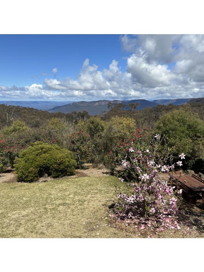 Valley Of The Waters B&B Wentworth Falls Ngoại thất bức ảnh