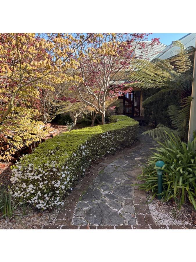 Valley Of The Waters B&B Wentworth Falls Ngoại thất bức ảnh