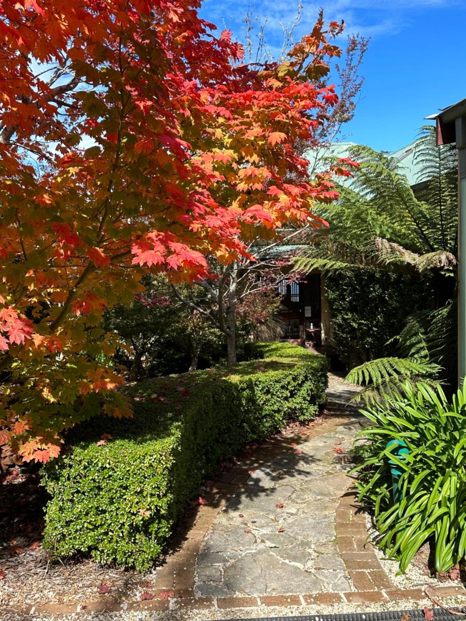 Valley Of The Waters B&B Wentworth Falls Ngoại thất bức ảnh
