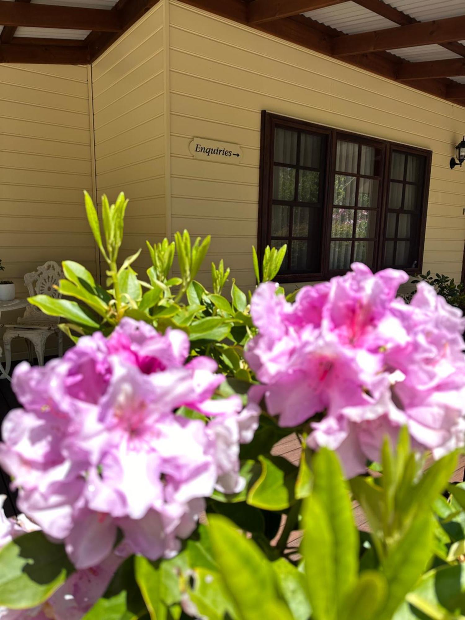Valley Of The Waters B&B Wentworth Falls Ngoại thất bức ảnh