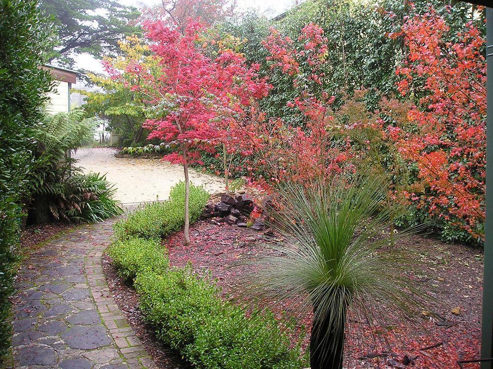 Valley Of The Waters B&B Wentworth Falls Ngoại thất bức ảnh