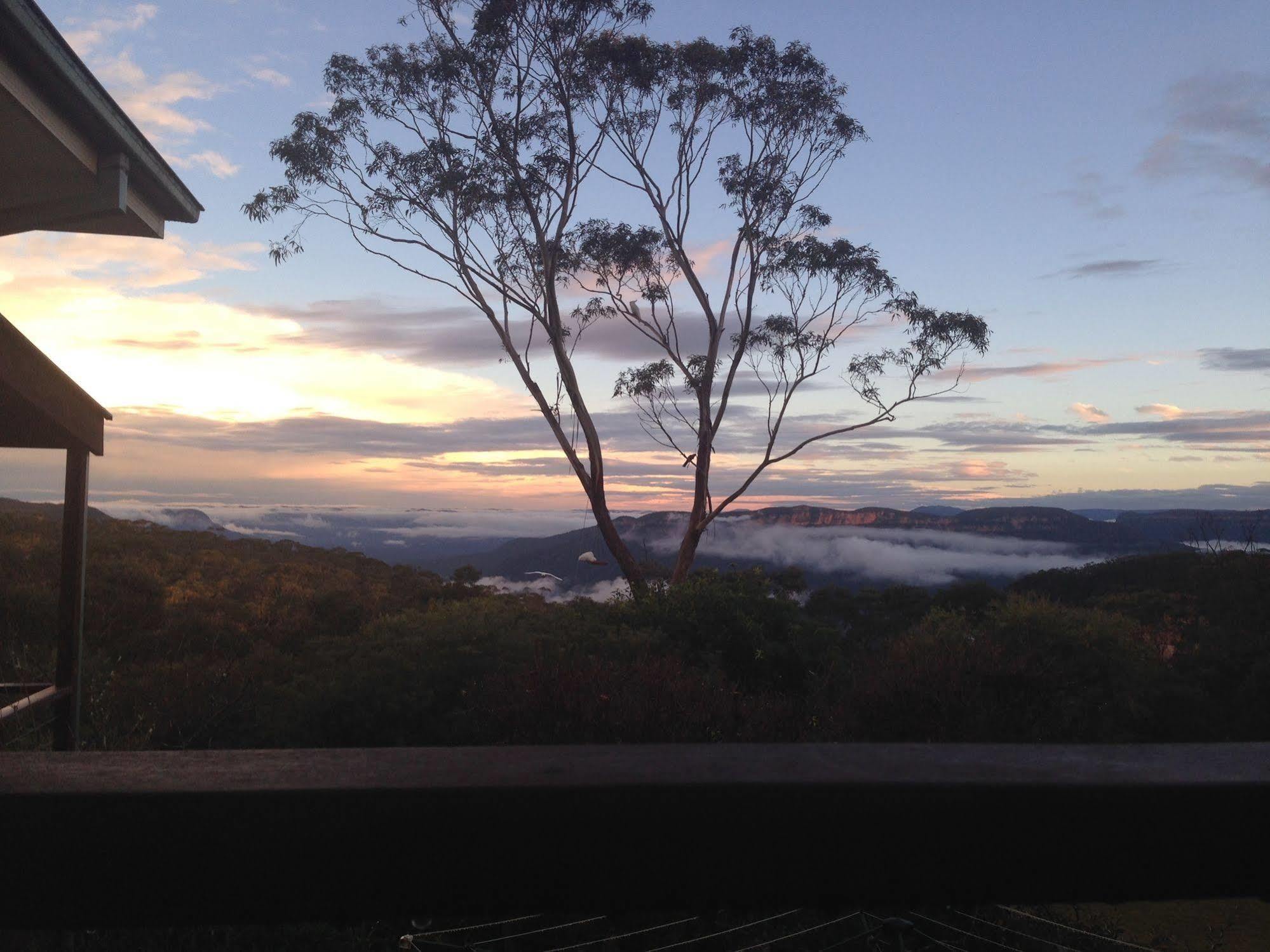 Valley Of The Waters B&B Wentworth Falls Ngoại thất bức ảnh