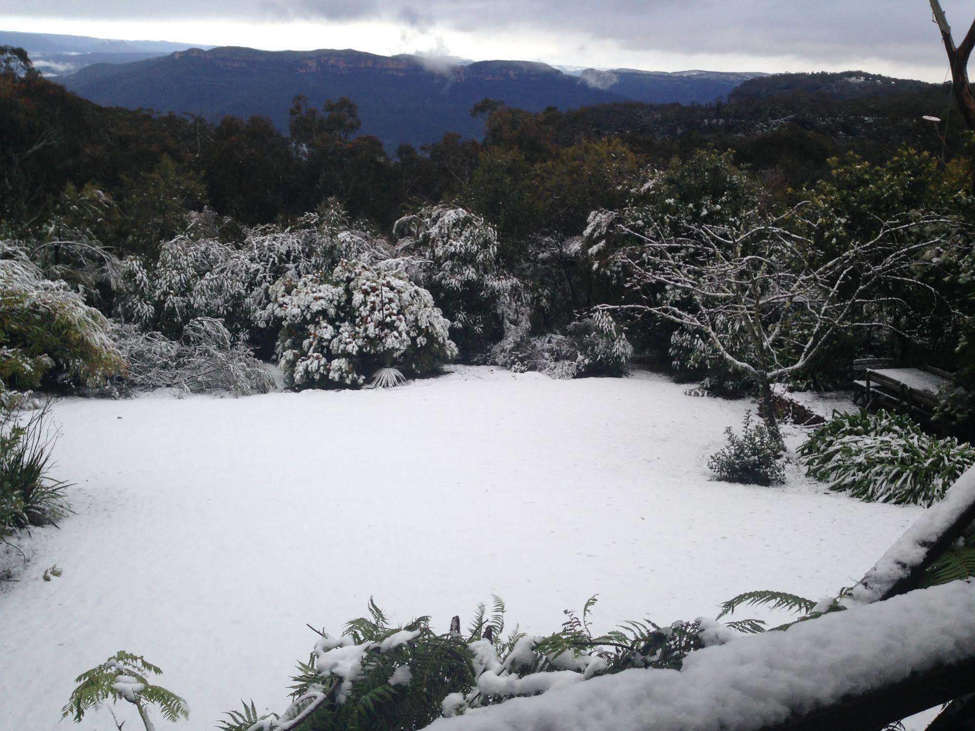 Valley Of The Waters B&B Wentworth Falls Ngoại thất bức ảnh