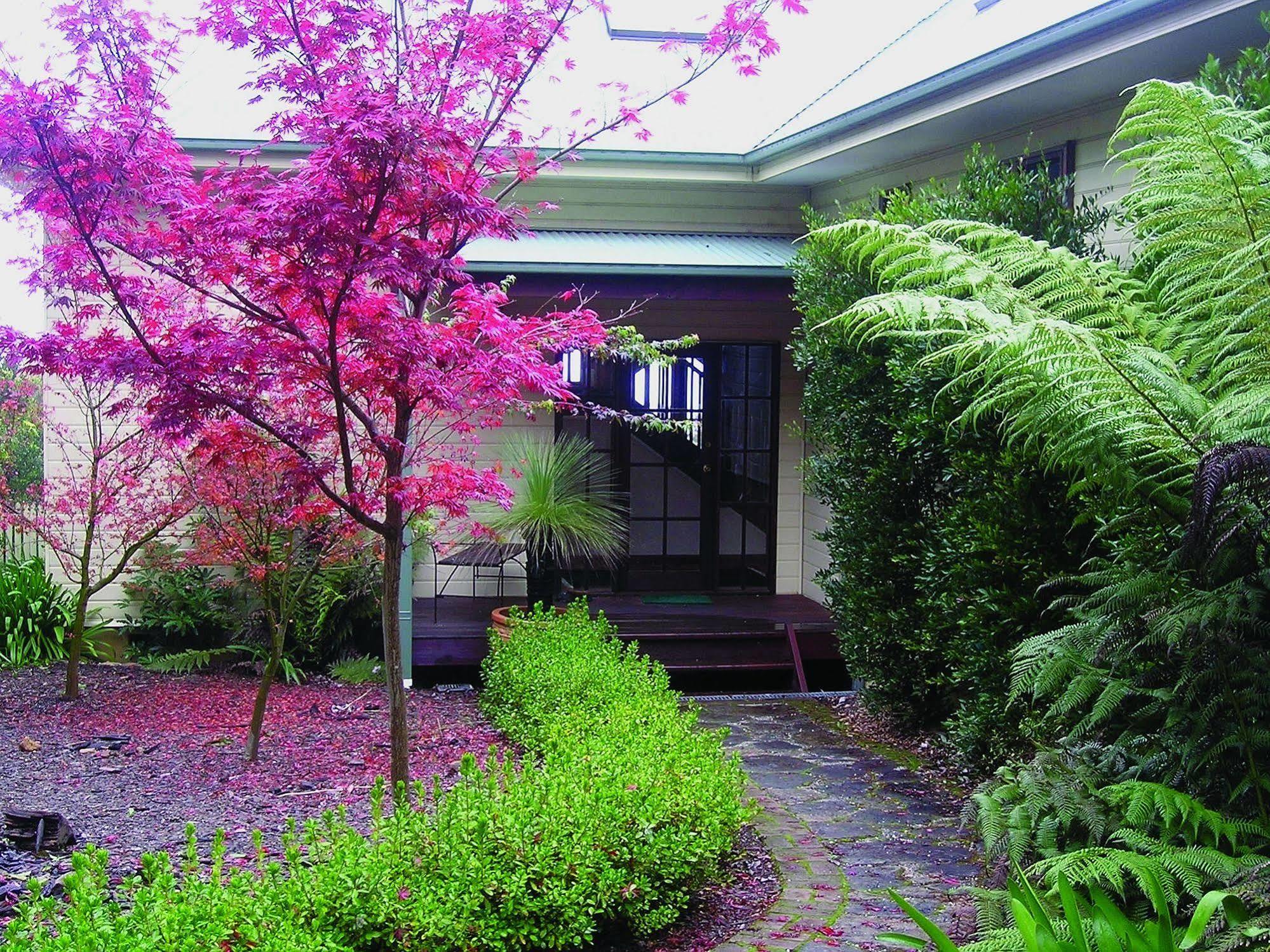 Valley Of The Waters B&B Wentworth Falls Ngoại thất bức ảnh