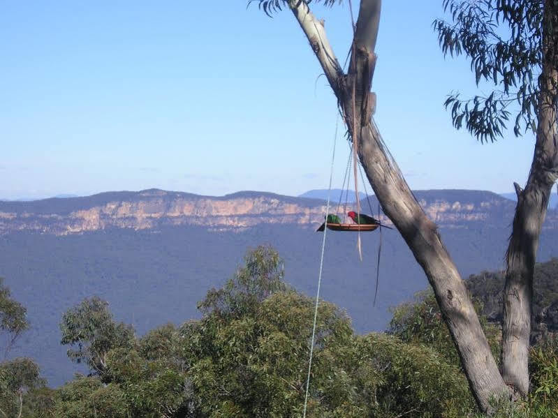 Valley Of The Waters B&B Wentworth Falls Ngoại thất bức ảnh