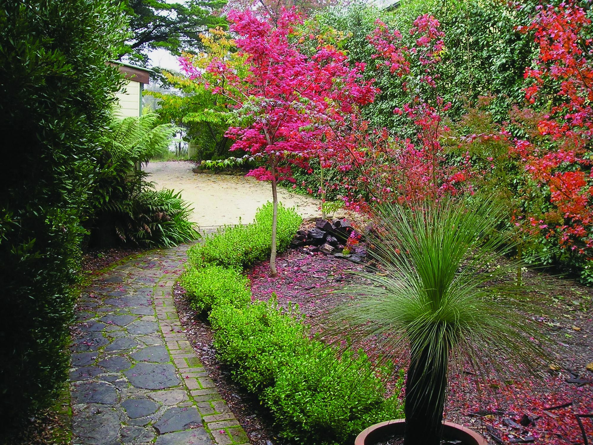Valley Of The Waters B&B Wentworth Falls Ngoại thất bức ảnh